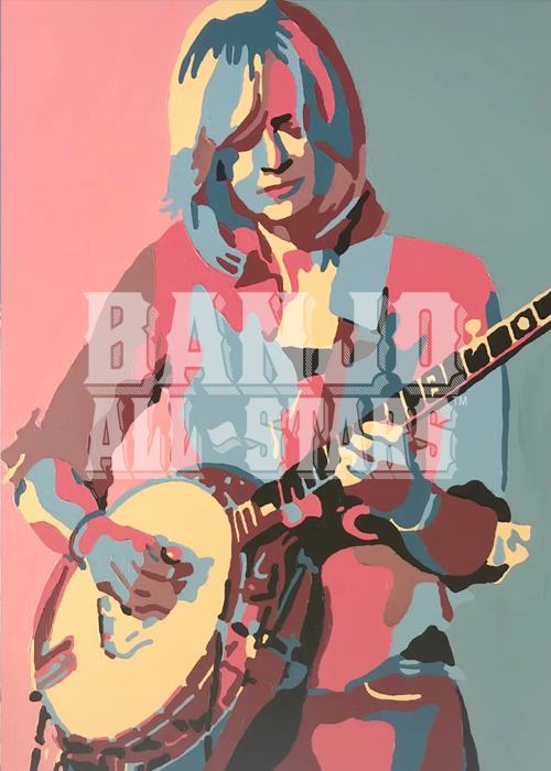 https://banjoallstars.com/images/players/series1/02-alison-brown-front.png